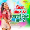 About Jija Tohar Rang Mirchai Lekha Lage 2 Song